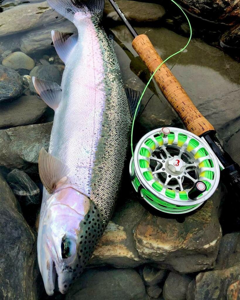 epicflyrods's tweet photo. • Backcountry Chrome •
Courtesy of Otago guide @paul_macandrew
#chromeonchrome #rainbowtrout #epicflyrods
#aspiringflyfishingnz #trout
#candfdesign #simmsfishing
@swiftflyfishing
-
#epicflyrods #epicpeople #flyfishing #adventure https://t.co/znQKLAOrGB https://t.co/7kIjO2X5kp