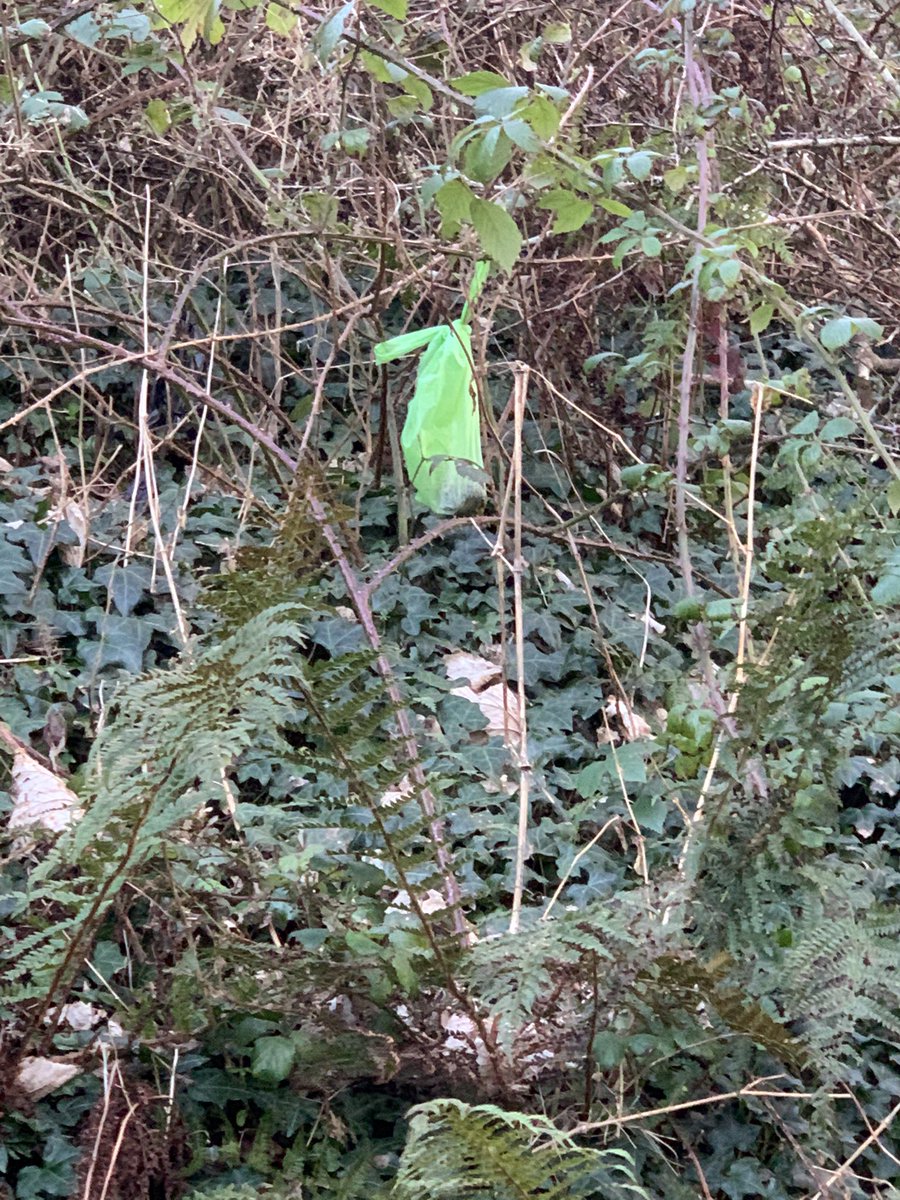 ItsPossibleCIC's tweet photo. Litter, litter everywhere 😳😱 What a mess! Come on Camborne, we can do better than this! Want to help change this? Contact us, we’re here to make positive change for #Camborne possible 💚 #litter #environment #flytipping #pride #streetclean #littering #tidybritain #cornwall https://t.co/MM2df34vll