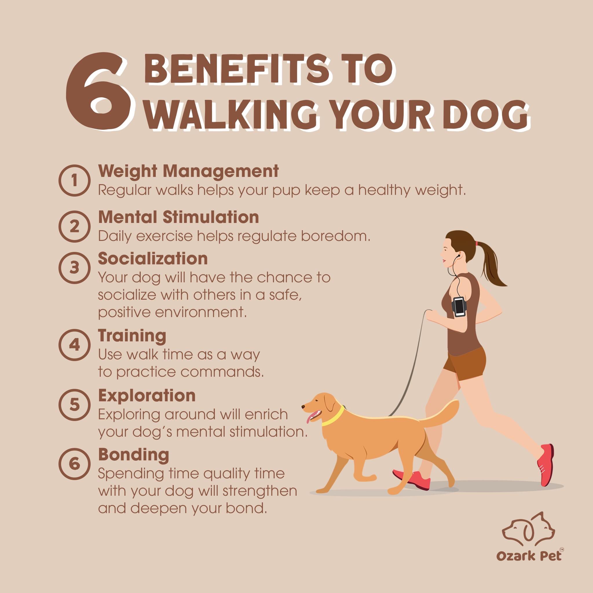 how can i exercise my dog without walking