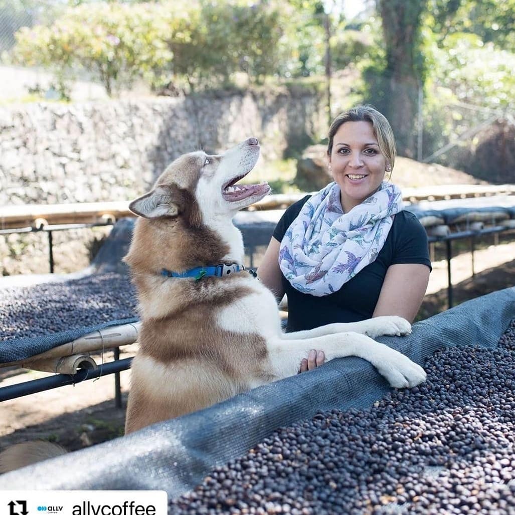 FirstAscentCB's tweet image. Shout out to visionary coffee producer Anny Ruth Pimental of Loma La Gloria on this International Women's Day. We are proud to roast her Belvedere Blend of honey and natural process Red Bourbon.

We, Ali and Addi, raise our mugs to our coffee sister.

#internationalwomensday