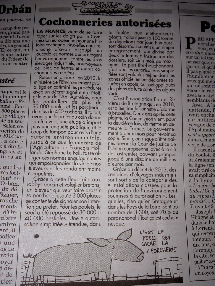 AssoAEPI's tweet photo. Pour vous informer lisez le "Canard Enchainé" et soutenez E&amp;R de Bretagne ! Bretagne et Pays de Loire encore champions ! https://t.co/Fq9sGsZpfc