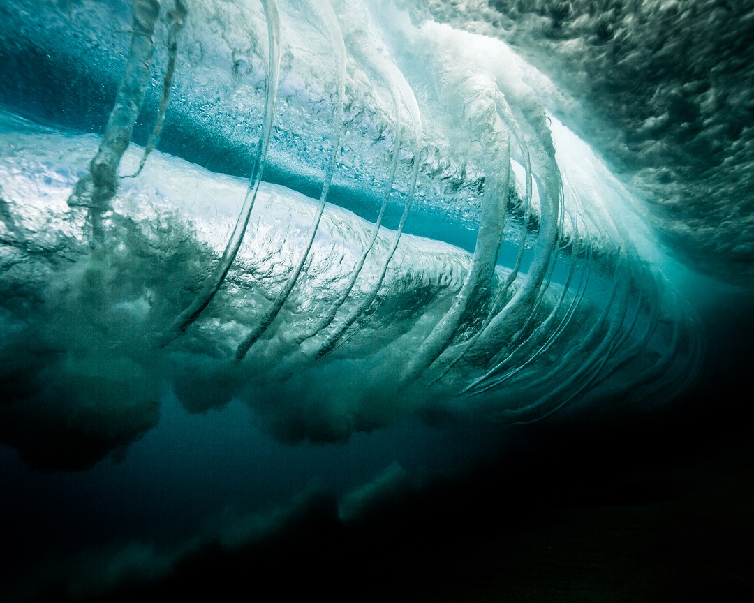 Nutrex Hawaii tweet media