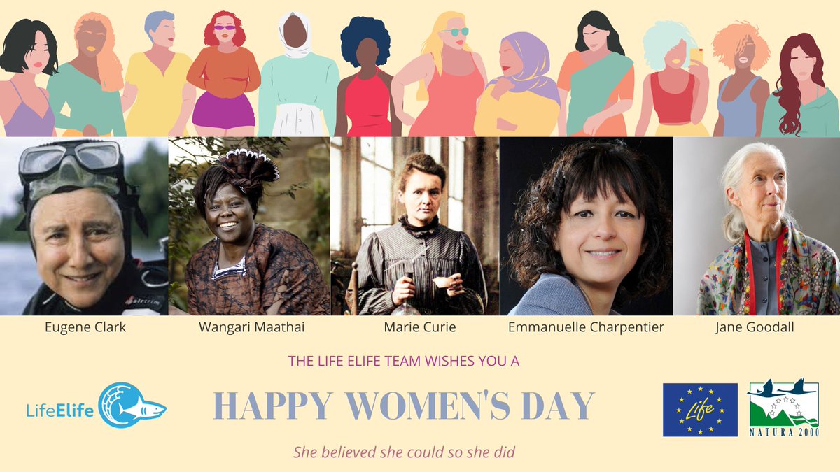 ElifeProject's tweet photo. #LIFEelife project, funded by the @LIFEprogramme and led by @SznDohrn and 9 partners, wishes all #women out there a great #InternationalWomensDay especially those involved in scientific #research and #biodiversity #conservation!

We hope you #believe in yourself because we do!! https://t.co/nR4sJ4qy1V