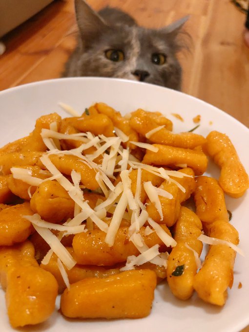 We made sweet potato gnocchi from scratch! It has rosemary and sage butter and it&rsquo;s topped with welsh