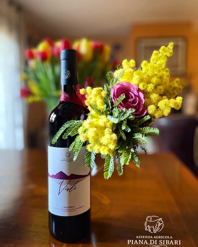 pianadisibari's tweet photo. Voi donne siete il fiore dell'esistenza💛Buon 365 giorni ....8 marzo.....SEMPRE!!!!🌹
🌼
🌼
#8marzo #vino #pianadisibari #wine #festadelladonna #8march #vinoitaliano #calabria #italianwine #cantina #vigneto #madeinitaly #lwoman #iniziosettimana #donne #womanday #womanday8march https://t.co/q5FHcdvvF0