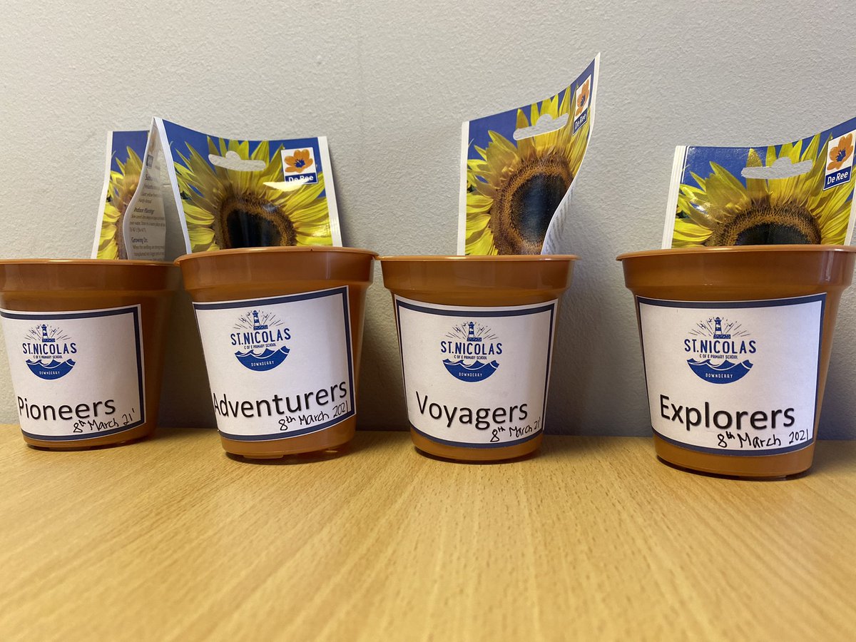 stnicsadventure's tweet photo. Over 99% attendance on Day 1. Go Team St Nics! A lovely sunny day for a much needed return 😍✨🥰☺️👏 @educationgovuk #BringTogetherness https://t.co/TuymwoYyQF