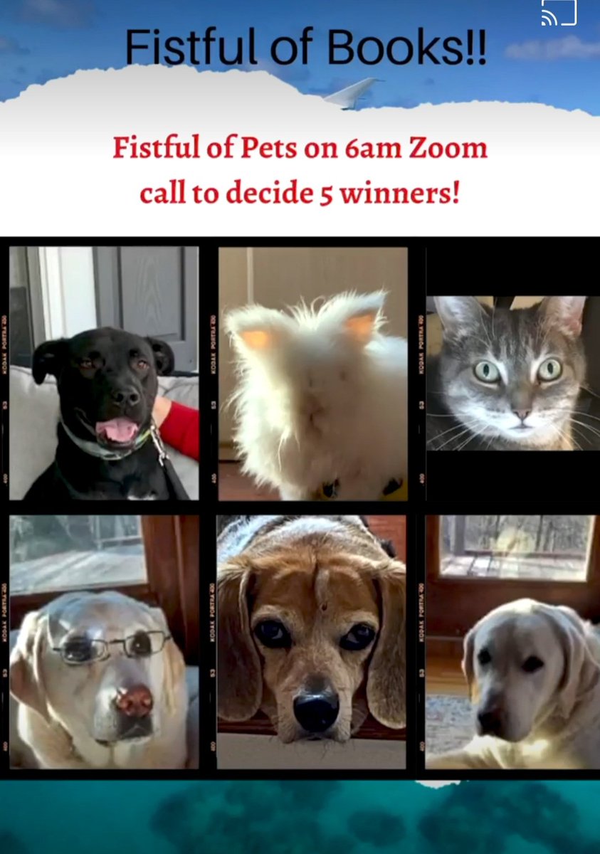 A Fistful of Pets conduct an early morning Zoom call to choose the 5 winners of a #fistfulofbooks to celebrate #internationalwomensday2021 
@MelonyTeague 
@lrosenauthor 
@BarbaraConrey 
@Anju_Gattani 
#InternationalWomenDay 
#WomenSupportingWomen 
#WritingCommunity 
#booklovers