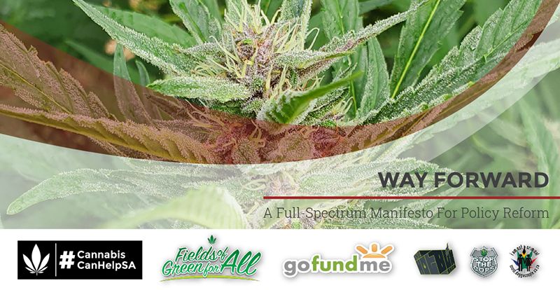 DaggaCouple's tweet photo. Manifesto Mondays: Way Forward | Fields of Green for ALL https://t.co/lqhtEo60yw
#FullSpectrumModel #daggaclub #IAmNotACriminal #CannabisCanHelpSA #OvercomingChallenges https://t.co/8faUCMjSTf #KnowYourFarmer #DaggaKanSAHelp #trialoftheplant2 #cannabiscommunity https://t.co/wqc8GCwqYD