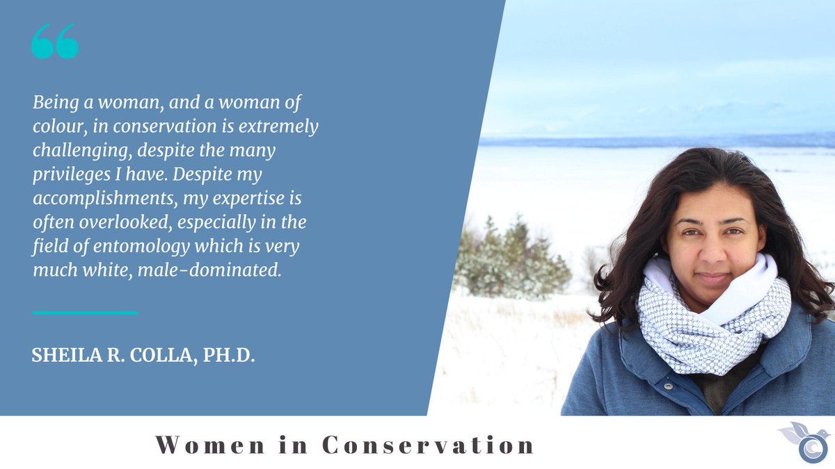 SCBNorthAmerica's tweet image. It's International Women's Day! To celebrate, we are highlighting #WomenInConservation.

We're kicking things off with Dr. Sheila Colla, a conservation scientist who inspires us. Read more about her on our blog: ow.ly/OZuU50DTkyj

@SaveWildBees #IWD2021 #WomensHistoryMonth