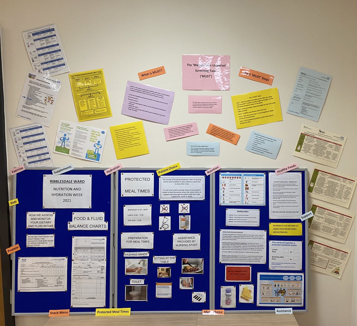 This fantastic full wall display has gone up on one of our @Cicdivision wards to raise awareness of nutrition and the importance of it and how we can positively influence this in hospital. 🍎🍊🥝🥬#NutritionMonth #MUST #ProtectedMealTimes @ELHT_NHS @SarahCaton3 @KirstyThomasson