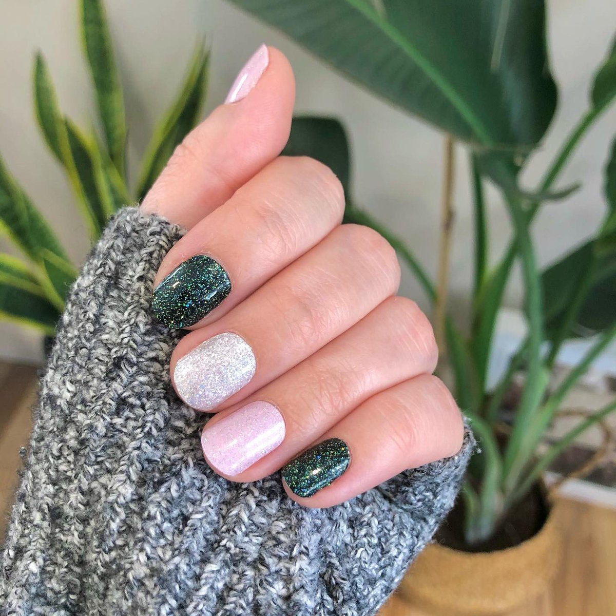 colorstreet's tweet image. Happy #InternationalWomensDay 💁‍♀️✨! Be sure to take some time and show the #bossbabes in your life some love today 💐. 
Shades shown: Gaelic Greenery, Home Sleet Home, and Blushing in Flushing.
(📸: @everyday.shay)