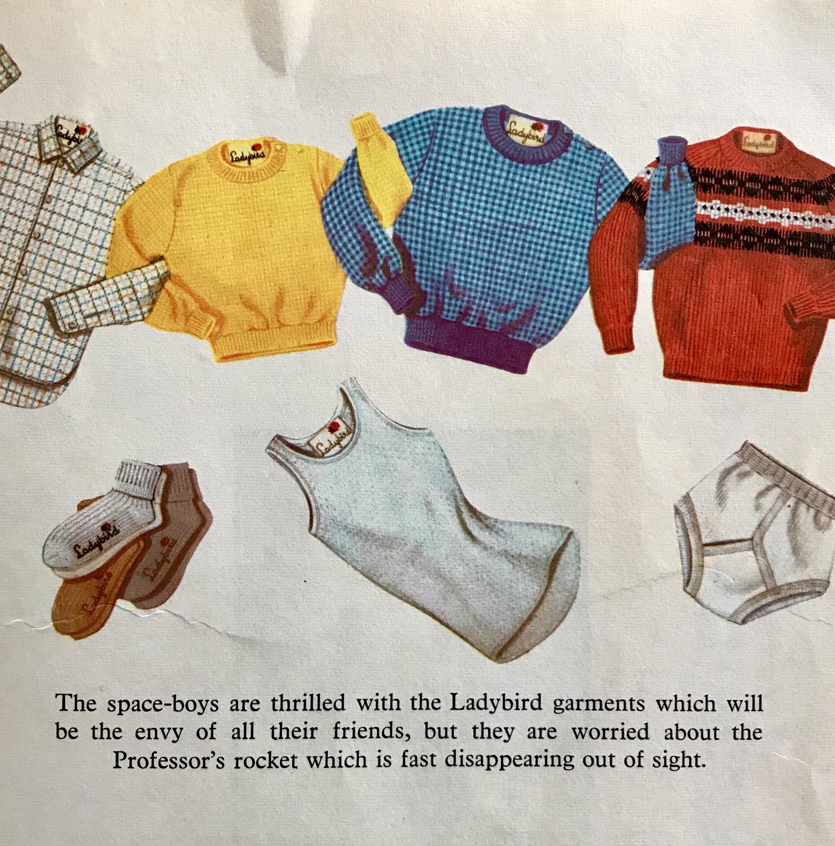 Ladybird clothing 2025