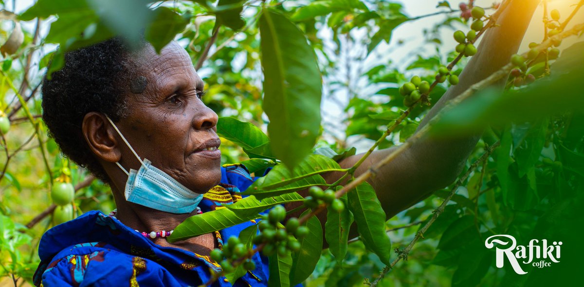 Happy international women's Day to all the women behind our coffee brand 💃
. 
Massive SHOUT OUT  to our distribution manager, without you, there would be no us. 
<a href="/rafikicoffee_/">Rafikï Coffee</a>
.
📸 @oculus_pics