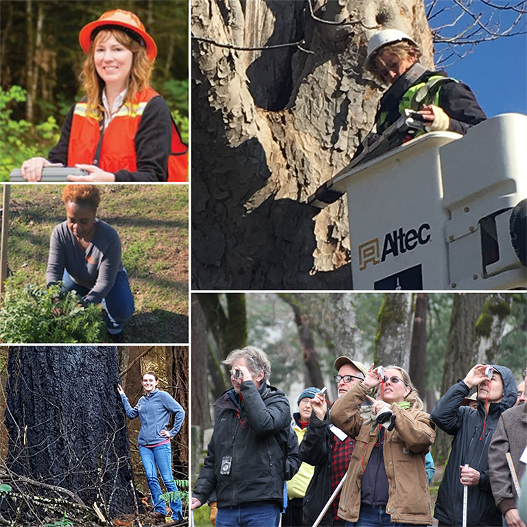 foresters's tweet photo. Happy #InternationalWomensDay! ✨✨ Today and each day, we celebrate women making a difference in our nation's forests, labs, classrooms, and everywhere in between. #WomenInForestry #SAFMembers #forestproud #ThisIsWhataForesterLooksLike #WomeninSTEM https://t.co/iKJwPKvbsz