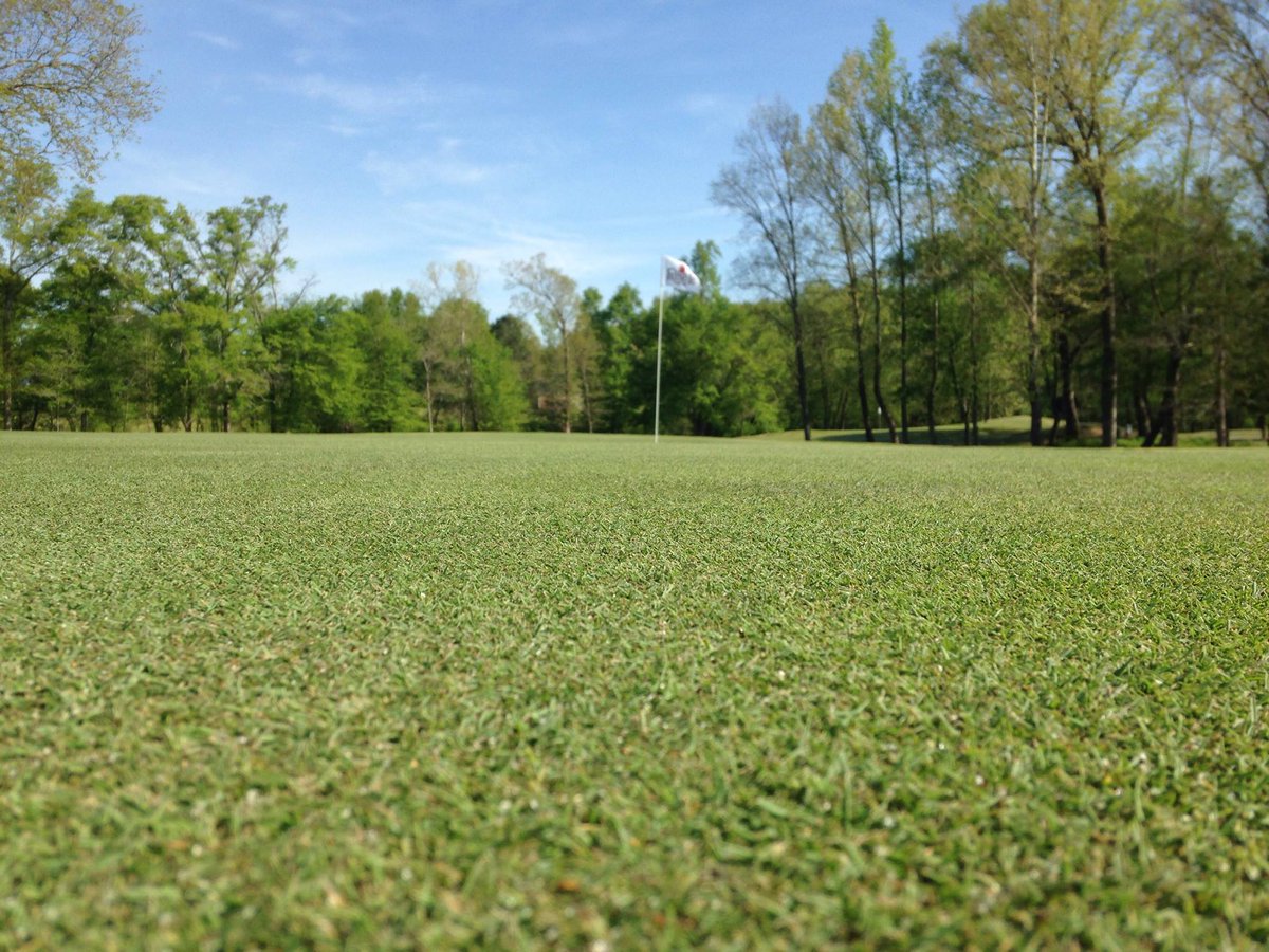 Our spring greens maintenance will be conducted over the next two days. ⛳️