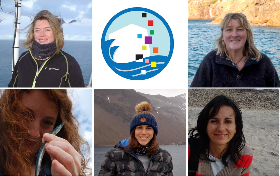 Happy #internationalwomensday from the steering committee of the #SCAR #Plastic action group, which is composed of five #womeninscience! #IWD #womeninpolarscience #WomenInSTEM #polarplastics @WomeninPolarSci @SCAR_Tweets