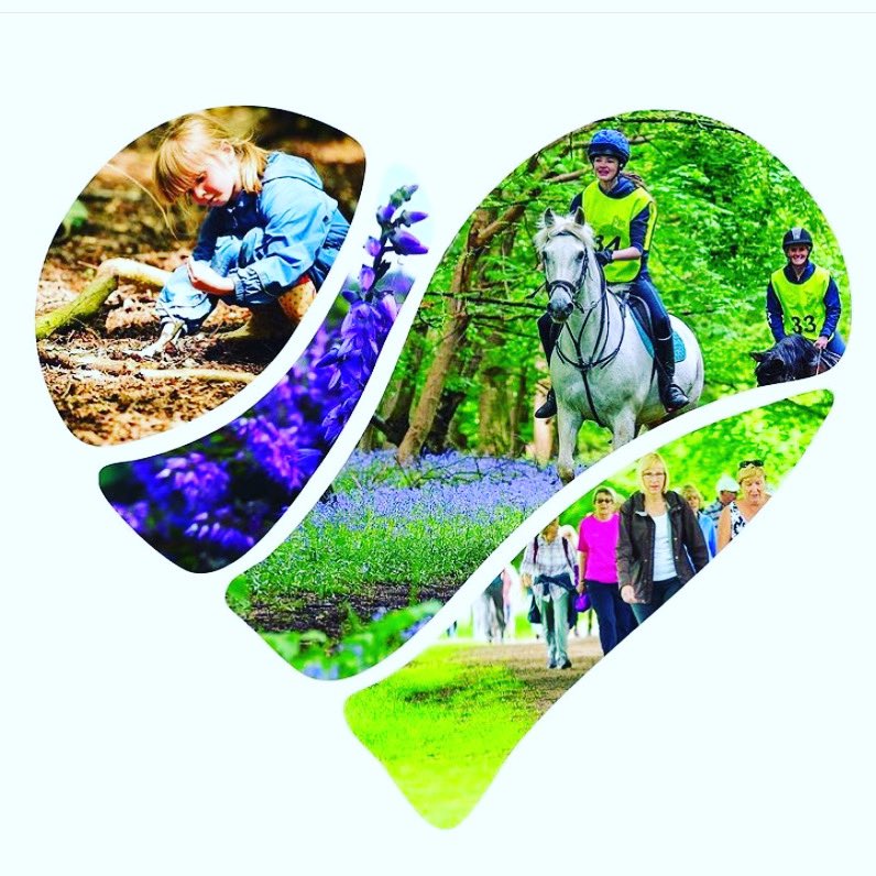🌳Excited to announce @a_childrens_story has been commissioned by @greensandsocial @GreensandTrust to create x3 family theatre pieces for this years Festival🌳 #newwriting #creativeproducer #familyarts #bedfordshire #greensandcountry #local #artist #arts #heritage #culture