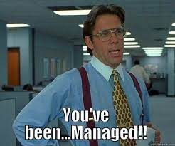 danielkennedy74's tweet photo. @johncutlefish @peteskomoroch The 'Office Space' theory... 

Peter: I have eight different bosses right now.
Bob: I beg your pardon?
Peter: Eight bosses.
Bob: Eight?
Peter: Eight, Bob. So that means that when I make a mistake, I have eight different people coming by to tell me about it. https://t.co/zIZHLpM7nQ