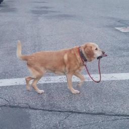 及川光博 画像 最新情報まとめ みんなの評判 評価が見れる ナウティスモーション 14ページ目