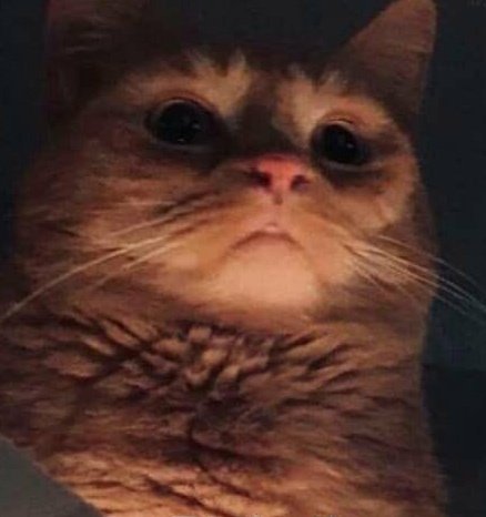 AROUNDLUXE's tweet image. 