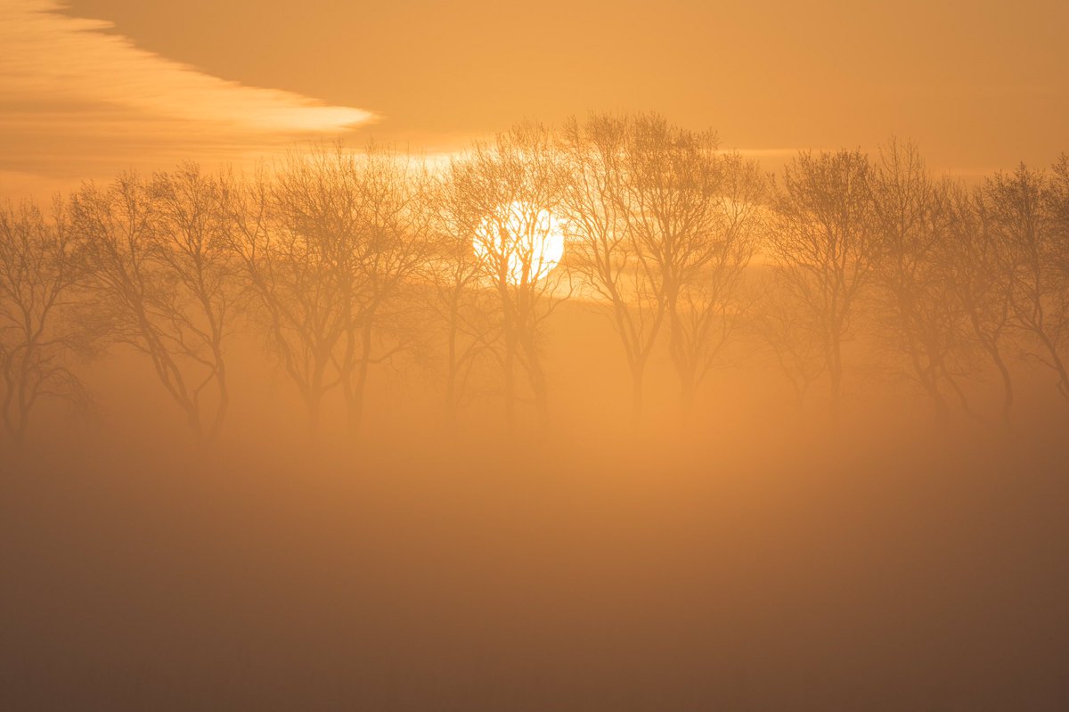Those mornings🤩 #middelburg #nikon <a href="/wijzijndestad/">Wij zijn De Stad</a> <a href="/Gem_Middelburg/">Gemeente Middelburg</a>