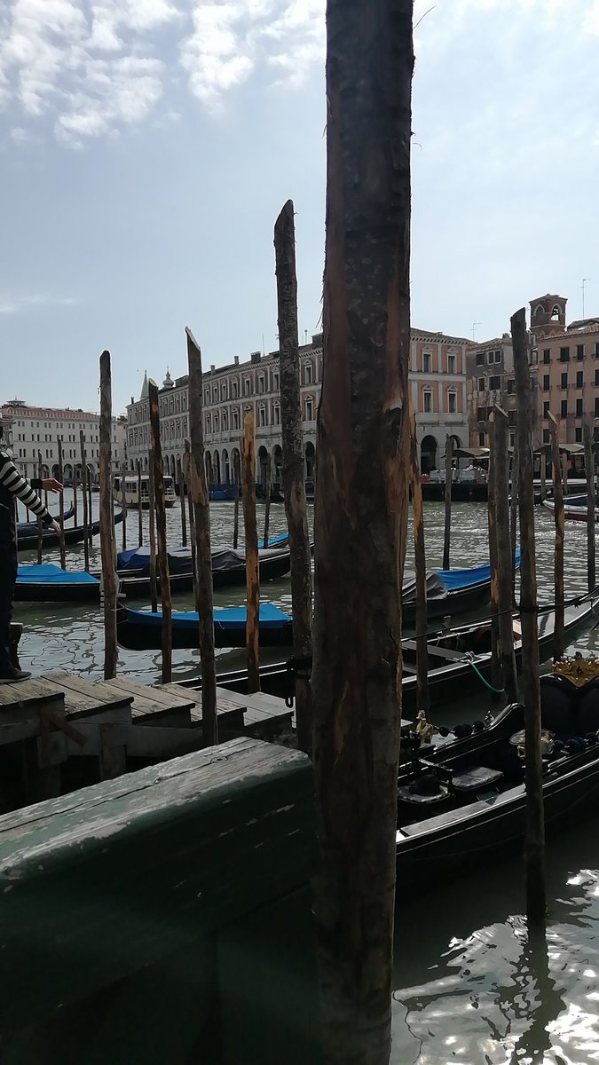pc_schaefer's tweet photo. Mit Abstand und MNS sind wir heute in #Venedig ausgegangen, denn am Montag wird für vier Wochen wieder alles dicht gemacht wegen #covid19italy man kann den Besucherströmen aus dem Weg gehen, wenn man will. https://t.co/gmcLu01bTX
