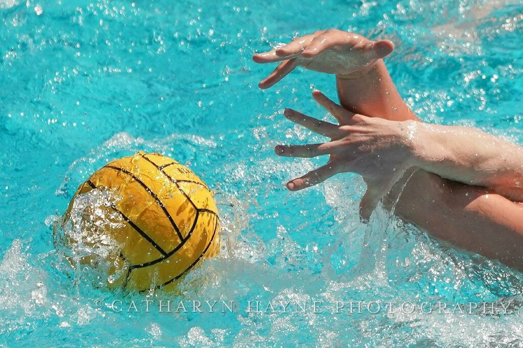 catharyn4's tweet photo. Penn State Behrend vs Stanford. 3/5/21 MPSF Los Angeles, CA. #mpsf #waterpolo #sportsphotography #sportsshooter #kap7 #psbwaterpolo #pennstatebehrend #stanfordmwp https://t.co/xbUzfY6Bsb
