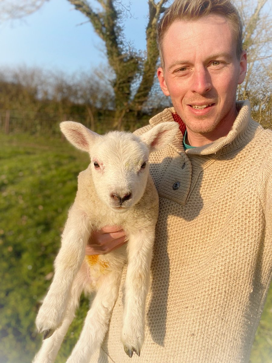 Good deed done. Rescued this little chap or chapette from the wrong side of the fence. Even at this young age they are heavy little rascals.#sheep #lamb #lambingseason #springlamb #springlambs #wool #woolly #animal #farmanimals #farm #farming #agriculture #livestock #stupidsheep