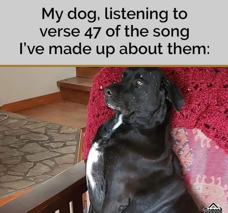 BURTPetSitters's tweet photo. 🎶 How many songs do you sing to your pets? 🎶 

https://t.co/JOhKC3CSKs
404-303-0314 

#sillysaturday #myvoiceisgreatintheshower #singingtodogs #dogsofinstagram #atlantapetsitting #barkinguptherighttree #atlanta #premierpetsitters https://t.co/sghTKArcB5