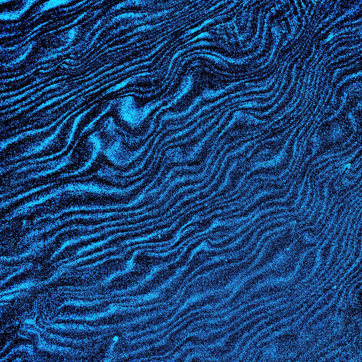 arescourt's tweet image. L’#insomnie suppose des soupentes versatiles. 
Souvenirs #soucieux des essais
Serpentent au sol et voudraient peser sans la tare. 
L’#attirance est soumise aux vadrouilles. 
Et ne doit rien qu’aux aises. 
Hommage aux gages.