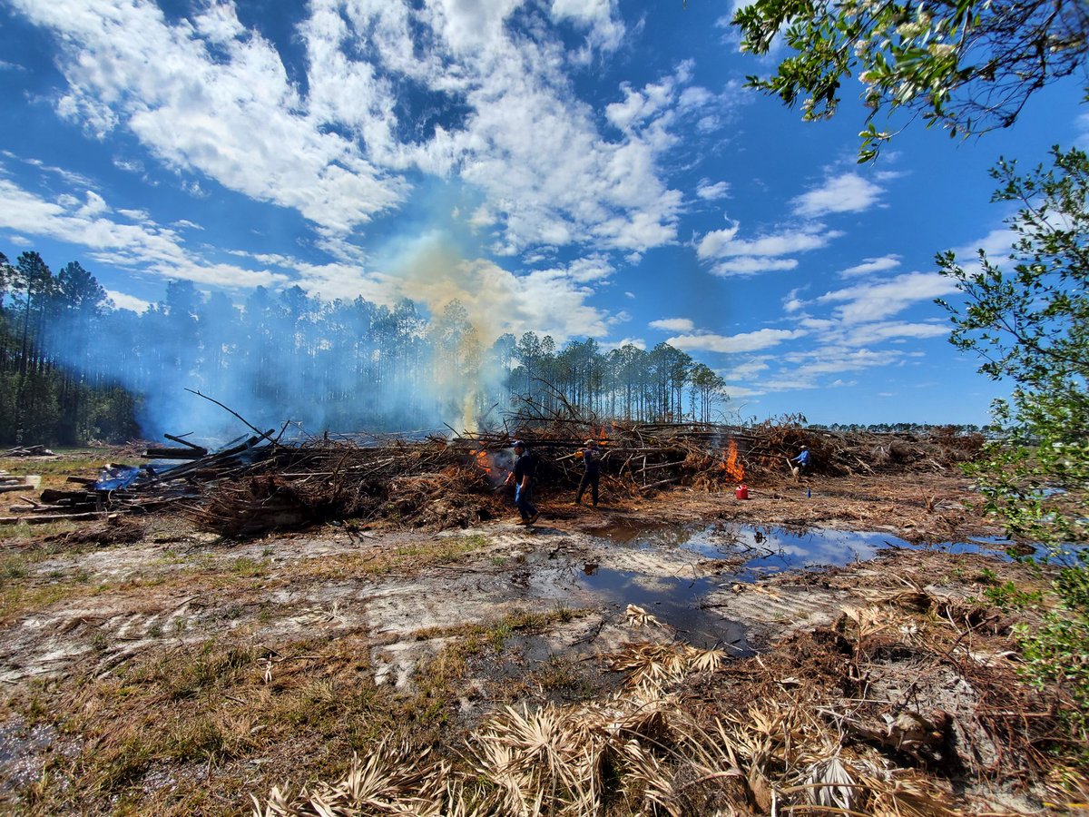 Mzkayc38's tweet photo. Work hard and play hard....
Burning on the property and mudding in 4 Wheeler... #workhardplayhard #Buring #LandClearing #BeautifulSaturday https://t.co/6Z6Qol3PwB