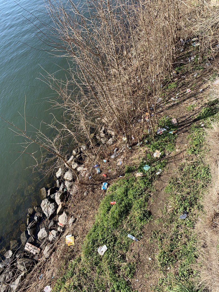 Sjoen stökske #Mestreech mer neet euveral <a href="/uitMaastricht/">Gemeente Maastricht</a> #ratte #aofval