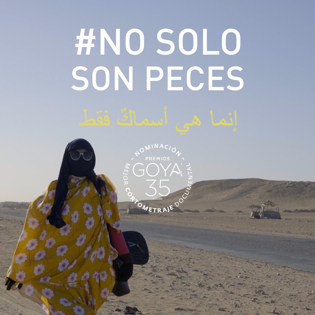 Esta noche está nominada #SoloSonPeces en los #Goya2021
al mejor corto documental. Hagamos que la lucha del pueblo saharaui sea visible #SaharaLibre