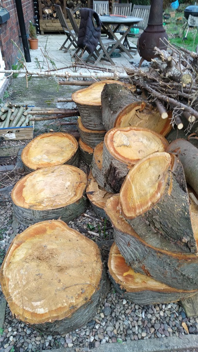 phil batchford tweet media