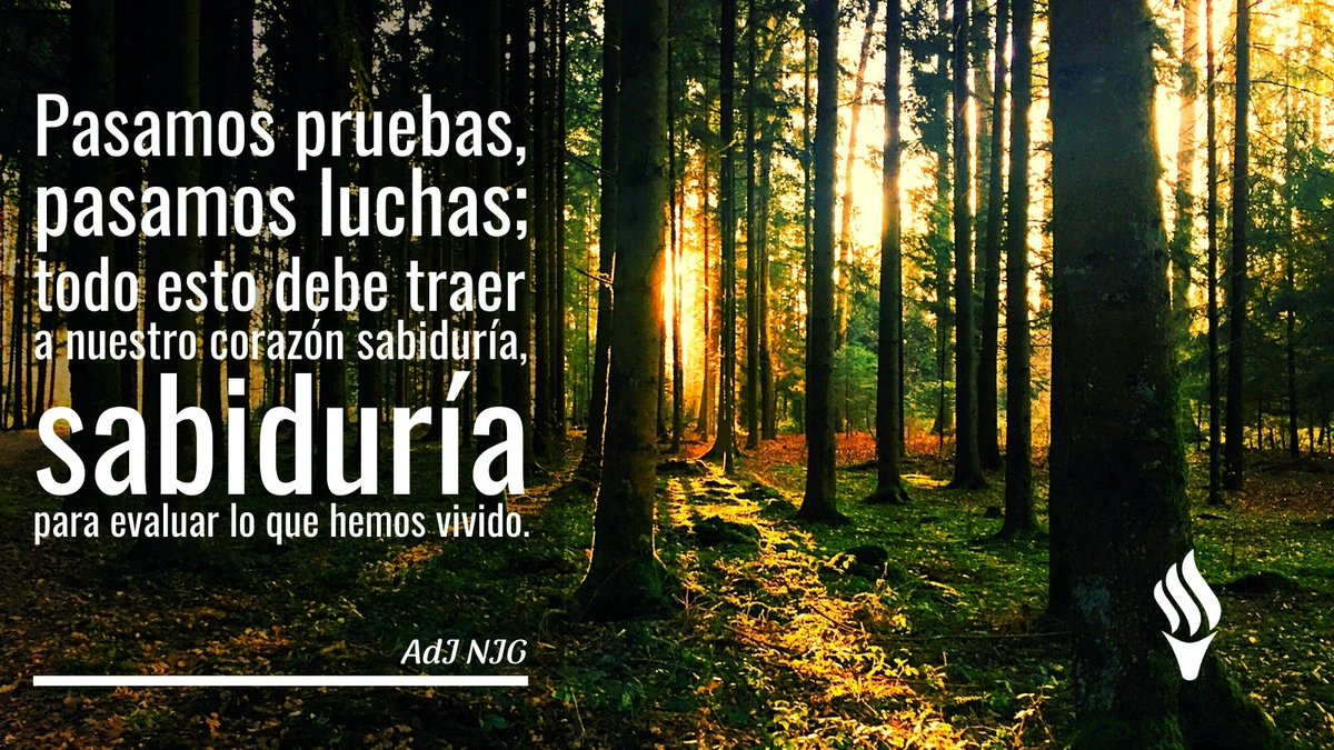 iglesialldm's tweet photo. Pasamos pruebas, pasamos luchas que traen al corazón sabiduría para evaluar lo que hemos vivido. #ConfiemosEnEl, seguros de que va a nuestro lado.

#WeAreLight
#ElAmorNosUne https://t.co/Z00SZSNJgF