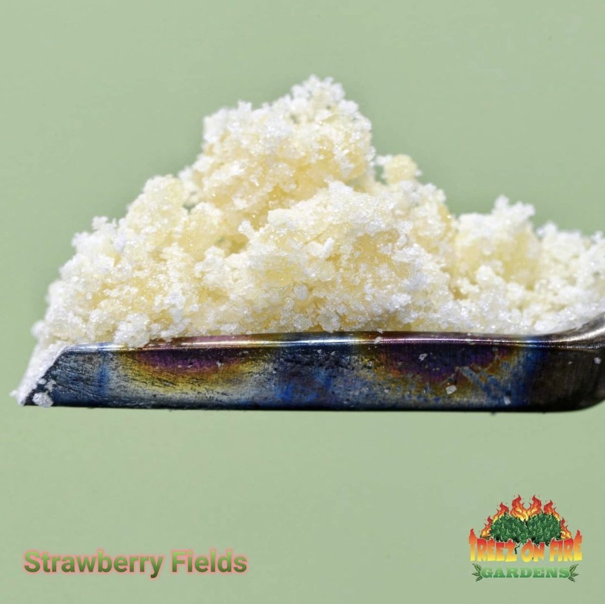 treezonfire707's tweet photo. Strawberry fields 🔥🍓 https://t.co/ltnvFu7OnO