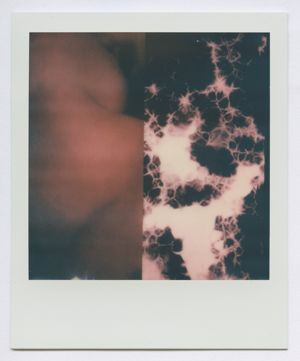 ipcollectivee's tweet photo. pat dudek / jerzy tabor / wojciech puś : nonrecognition (polaroids) / Museum of Modern Art in Warsaw 
@MSN_Warszawa
#RefugessWelcome auction (2020) 
https://t.co/8KOHH4c2On

#polaroid #video #music #cassette #msnwarszawa #MoMA #warsaw #wojciechpus #jerzytabor #patdudek #livemusic https://t.co/DjZsgcFdre