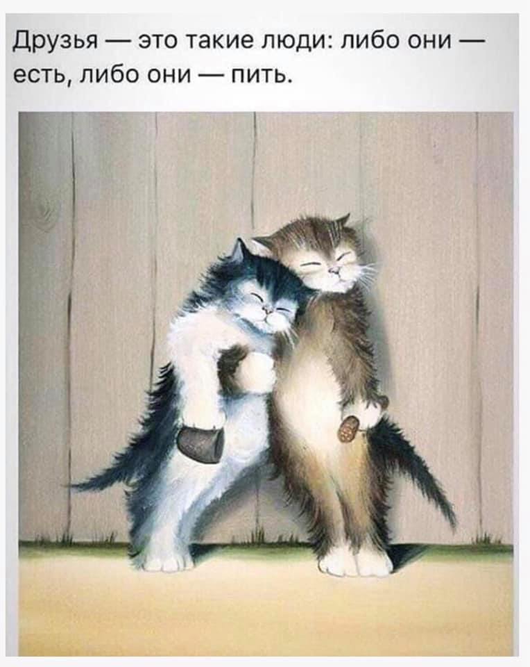 Andrei Melnik (@andreimelnikiq1) on Twitter photo 