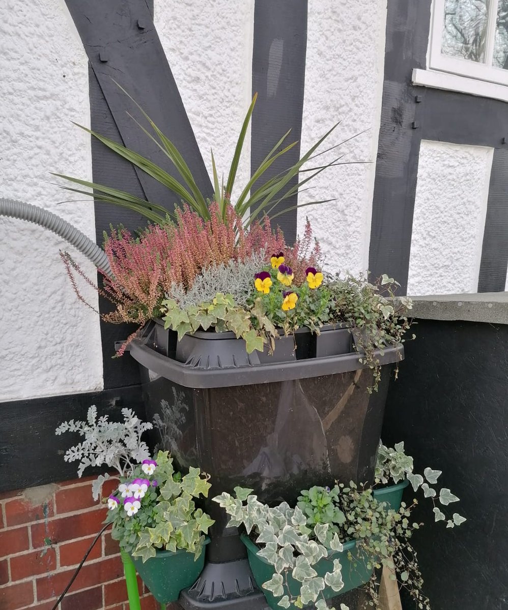 clapton_commons's tweet photo. Did you know...? 

Our wonderful designers created a simple but effective #wateringsystem whereby the rain from Liberty Hall’s roof runs down to water the plants that adorn our water butts! Now ain't that something. 

#communitygardens #hackneygardeners #hackneycommunitygardens https://t.co/yjVHWM1KTj