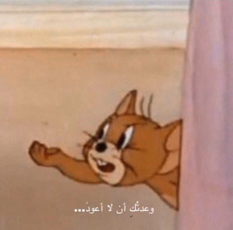 رياكشنات توم وجيري tweet media