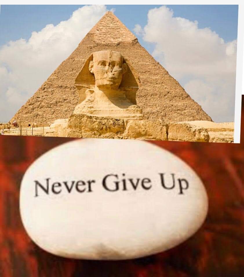 MMattar19's tweet photo. We are fighting #GSK_employees_compenstation #gsk #حقوق_موظفى_جلاكسوسميثكلاين_مصر https://t.co/Mi6movrjkL https://t.co/EasIrSxJTO