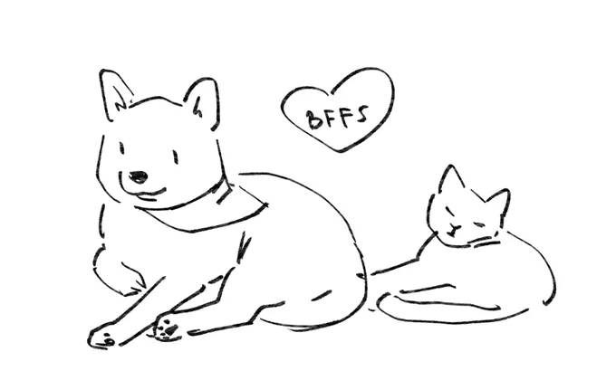 the animal friendship goals https://t.co/PEUmzdZQbF 