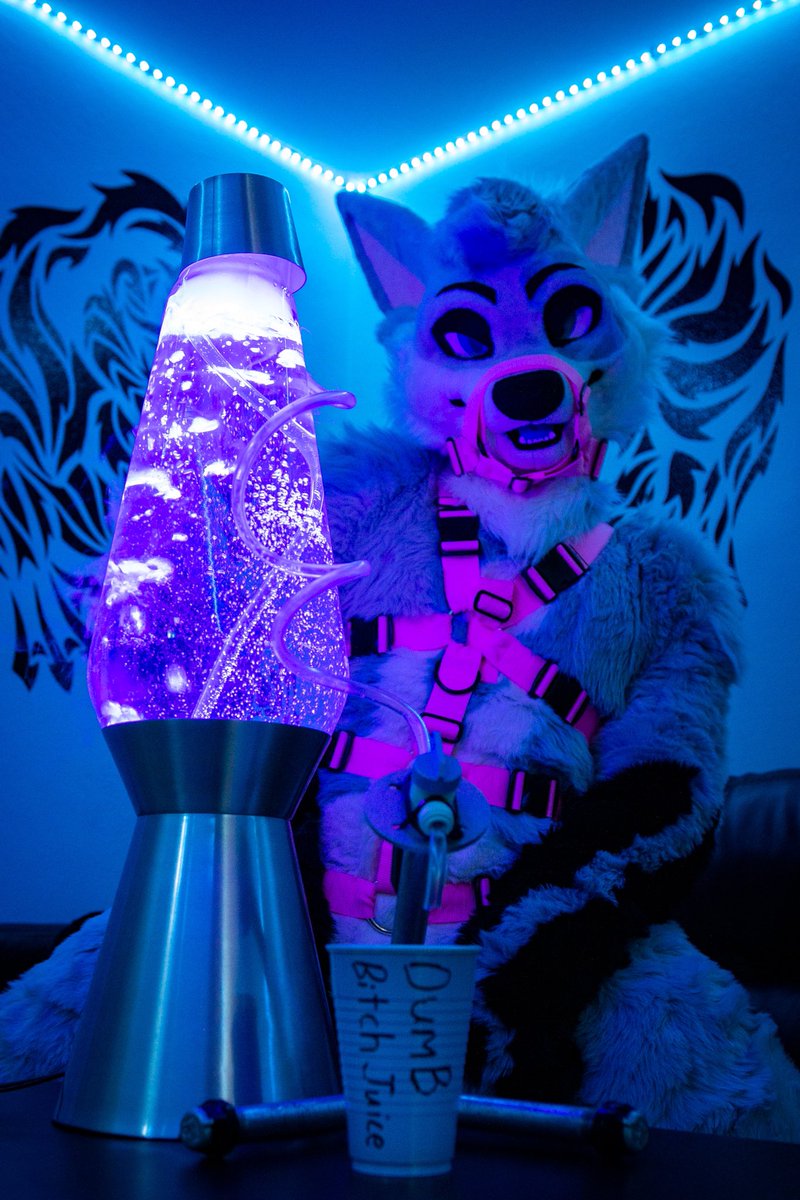 Who’s down for some more dumb bitch juice? Thanks <a href="/Crunchycurl/">Crunchycurl</a> harness fits great! 📸by <a href="/squeaknslip/">Kevyn Otter</a>