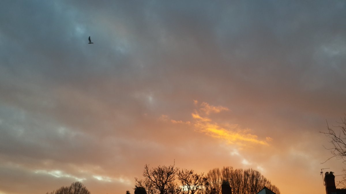 Lyrics in rainfall
Slowly low timbre murmur
Escalating to cresento
Sky turns into dark poetry
A lightinning loud clap
Spend
Earth and sky rejoiced
Rejuvenated
So life can continues

#spring 

#SlamWords
#atreyasverse #becomingfragile #DimpleVerse #poetry #vss