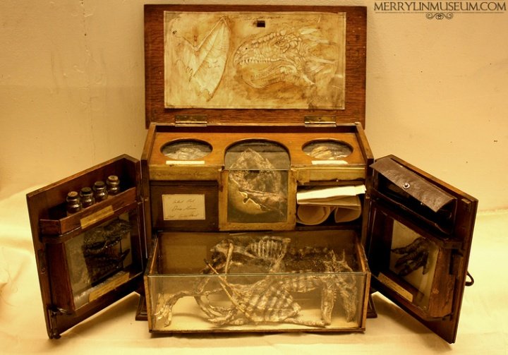 astrospic's tweet image. a collection of speciments thought to be myth from merrylin cryptid museum, london.