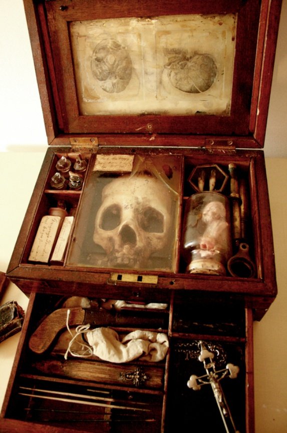 astrospic's tweet image. a collection of speciments thought to be myth from merrylin cryptid museum, london.