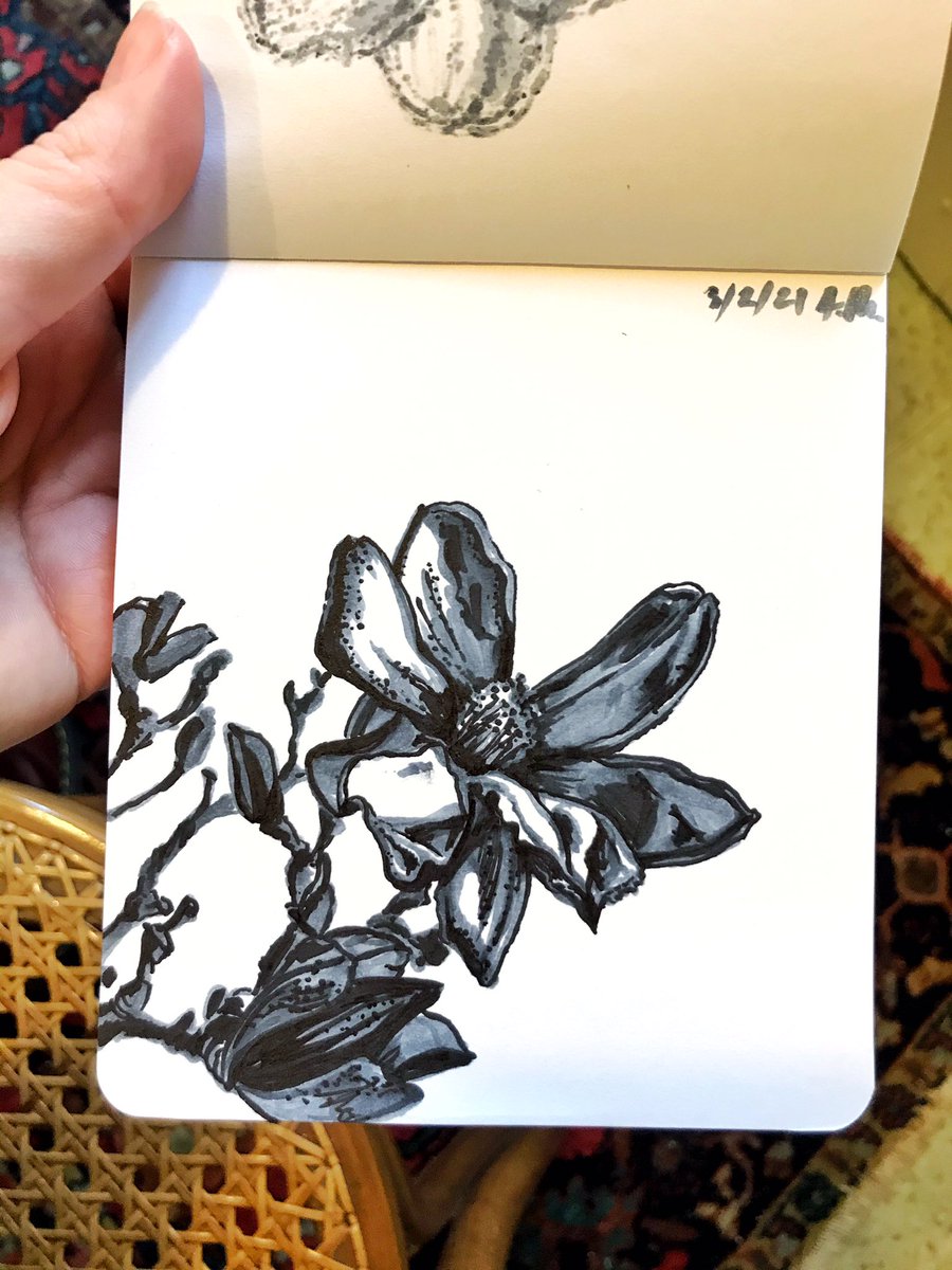 The inspo, the drawing. Photo by Long Beach floral designer <a href="/RawFinery/">Raw Finery Jewelry</a>. Marker sketch by me.