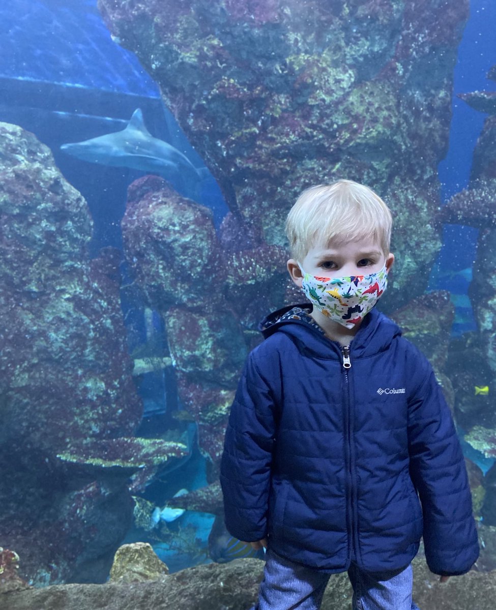 rkpeter708's tweet photo. Well, no fishing poles, but we had a great day at the aquarium on a beautiful Colorado Saturday! https://t.co/5BjYq1Jyj5