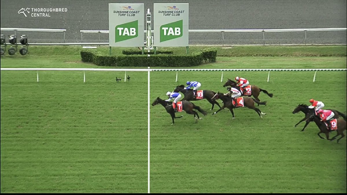 Vast Karma becomes the 75th individual winner for Spirit of Boom this season  ⁦<a href="/SCTurfClub/">SCTurfClub</a>⁩. SOB sits Top 15 Sires of 🇦🇺 by winners all produced off 11k fee 💥