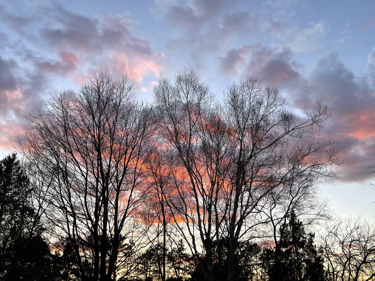 nicholas_rich's tweet photo. Red sky at night... https://t.co/eFqVkpKgrY